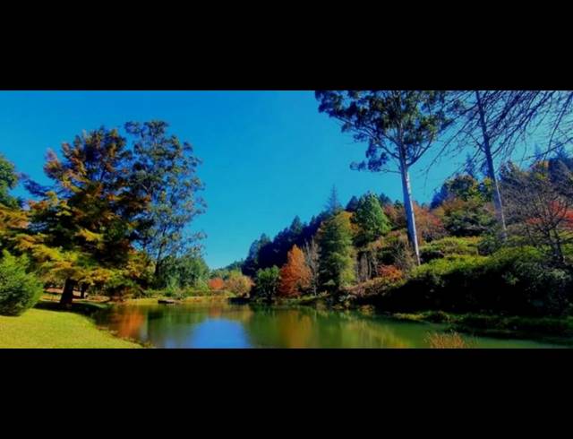 FARM FOR SALE IN TZANEEN RURAL